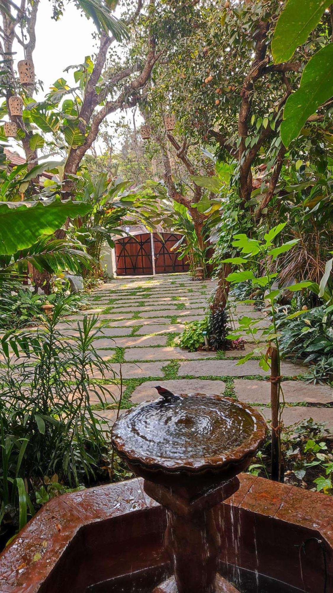 The Postcard Saligao Hotel Calangute Ngoại thất bức ảnh