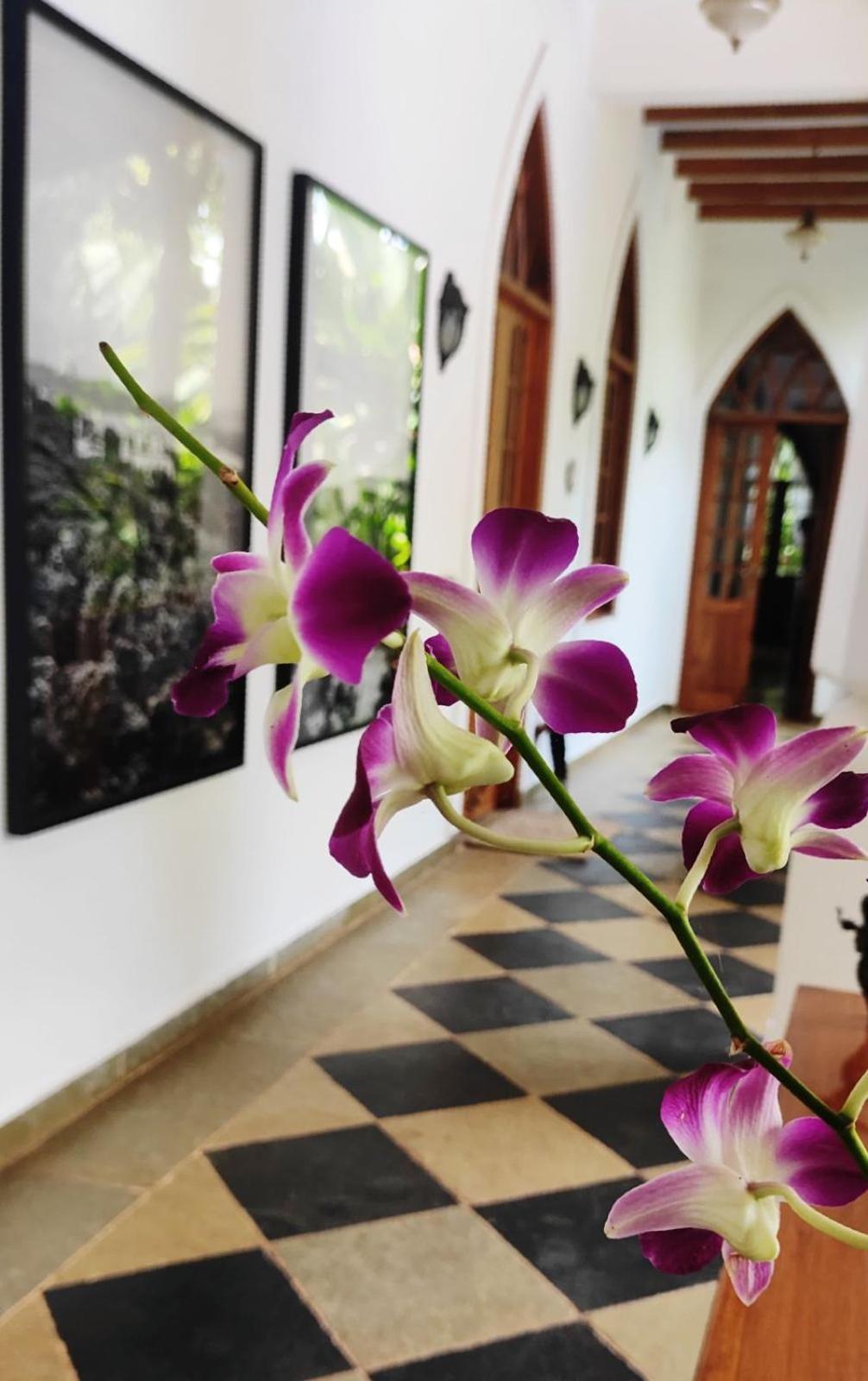 The Postcard Saligao Hotel Calangute Ngoại thất bức ảnh