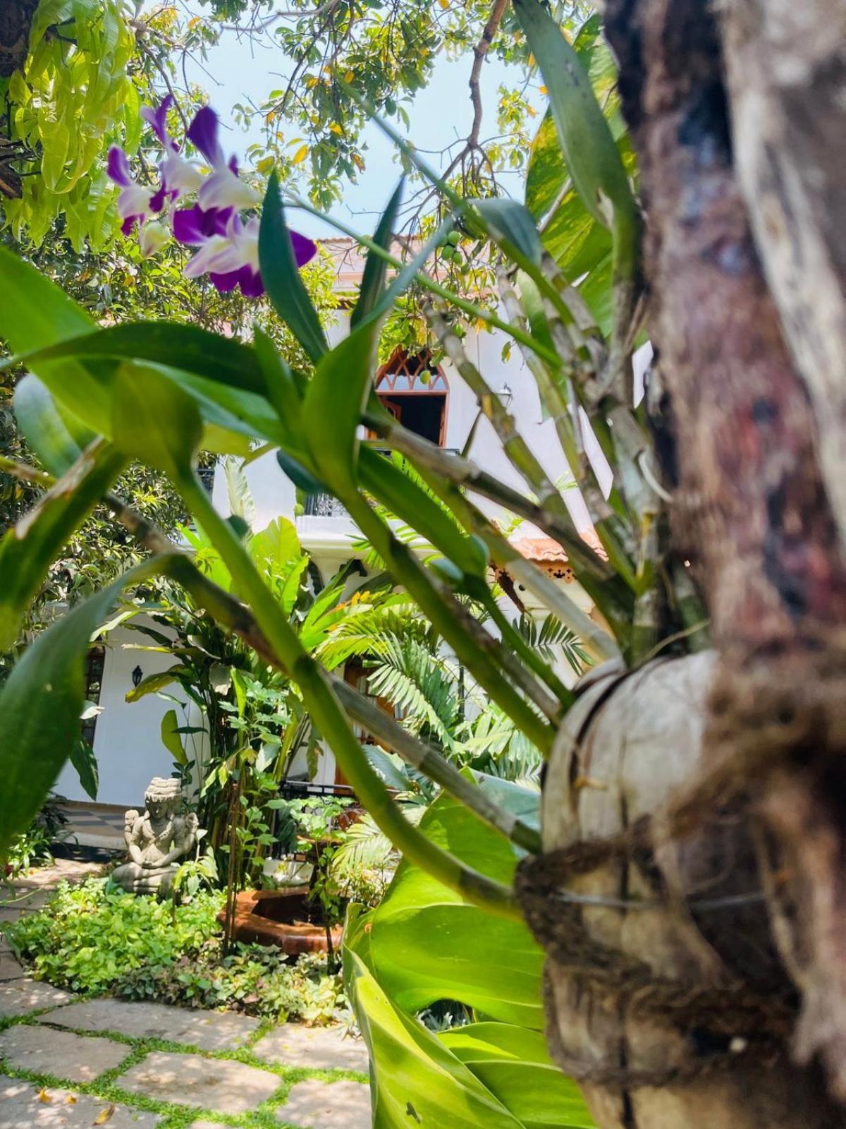 The Postcard Saligao Hotel Calangute Ngoại thất bức ảnh